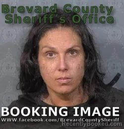 Mugshot of LISA MARIE DIFRANCISCO booked in Brevard County, Florida on June 23, 2026