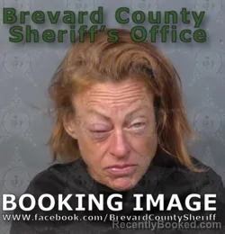 Mugshot of TERRY ELIZABETH VAN ORDEN booked in Brevard County, Florida on June 24, 2026