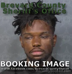 Mugshot of JAMENE LERONA WALKER booked in Brevard County, Florida on June 24, 2026