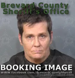 Mugshot of STACEY MICHELLE DAMICO booked in Brevard County, Florida on June 24, 2026
