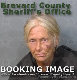 Mugshot of DENISE LYNNE JONES booked in Brevard County, Florida on June 24, 2026