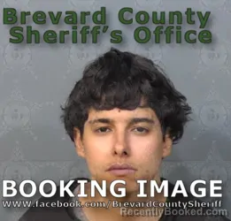 Mugshot of Destiny Luz Margarita Cotto booked in Brevard County, Florida on June 25, 2026