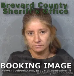 Mugshot of Angelica Valentina Mazariegos booked in Brevard County, Florida on June 25, 2026