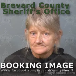 Mugshot of LISA ANN BERRY booked in Brevard County, Florida on June 26, 2026