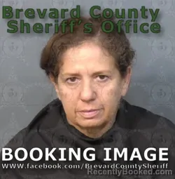 Mugshot of LIZET FERRIS DIBERNARDO booked in Brevard County, Florida on June 26, 2026