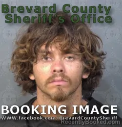 Mugshot of Skye James Strickland booked in Brevard County, Florida on June 27, 2026