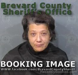 Mugshot of BRITTANY ELIZABETH STIEFEL booked in Brevard County, Florida on June 28, 2026