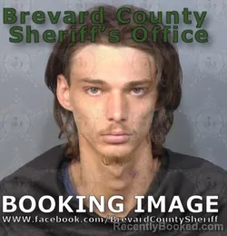 Mugshot of TAYLOR DEAN MISSILDINE booked in Brevard County, Florida on June 29, 2026