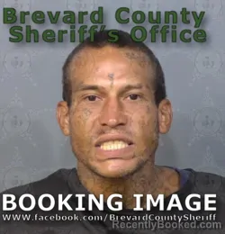 Mugshot of Shane Edward Younger booked in Brevard County, Florida on June 30, 2026
