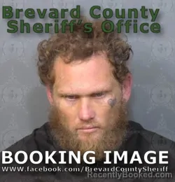 Mugshot of DALTON JOHN ELPHINSTONE booked in Brevard County, Florida on July 1, 2026