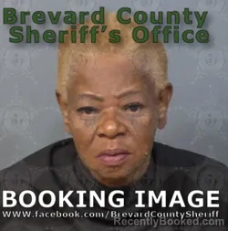 Mugshot of Vanessa Renee White booked in Brevard County, Florida on July 2, 2026