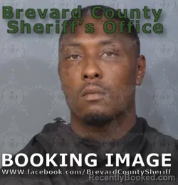 Mugshot of MIKE Green GREEN booked in Brevard County, Florida on July 2, 2026