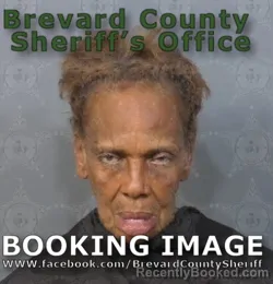 Mugshot of Rachel Renase Hardy booked in Brevard County, Florida on July 3, 2026
