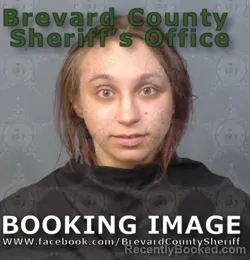 Mugshot of KRISTAL ANN WELLS booked in Brevard County, Florida on July 3, 2026