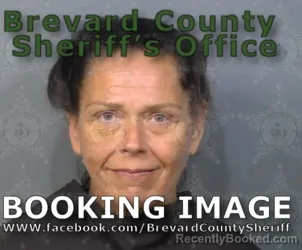 Mugshot of Stacy Lynn Higginbotham booked in Brevard County, Florida on July 3, 2026