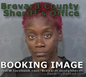 Mugshot of SHARMIN N LESTER booked in Brevard County, Florida on July 3, 2026