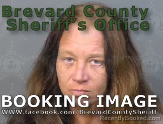 Mugshot of Karen Mechelle McGinnis booked in Brevard County, Florida on July 3, 2026