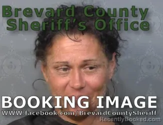 Mugshot of Amy Renee Skinner booked in Brevard County, Florida on July 4, 2026