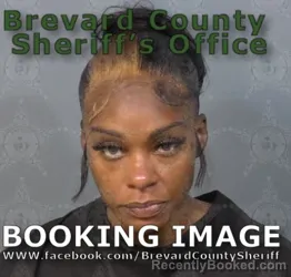 Mugshot of Ashley E Newton booked in Brevard County, Florida on July 4, 2026