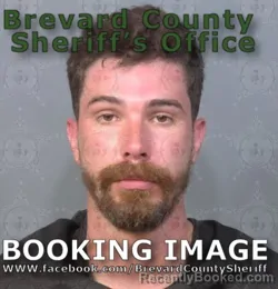 Mugshot of COLE LEWIS SIMONS booked in Brevard County, Florida on July 4, 2026