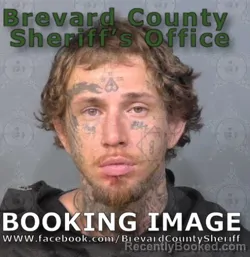 Mugshot of Todd Carter Asher booked in Brevard County, Florida on July 5, 2026