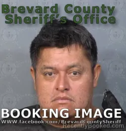 Mugshot of DOBEREINER VELAZQUEZ ALARCON booked in Brevard County, Florida on July 5, 2026