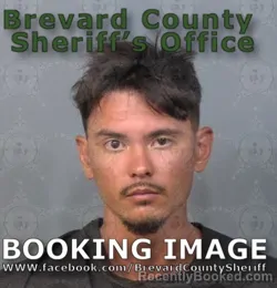 Mugshot of Tai Alexander Greene booked in Brevard County, Florida on July 5, 2026