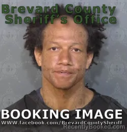 Mugshot of Rain Joel Pipkins booked in Brevard County, Florida on July 5, 2026