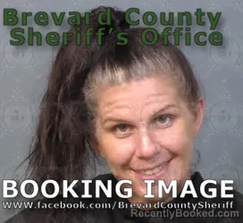 Booking photo from Brevard County, Florida