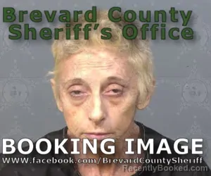 Mugshot of Tamara Annette Houston booked in Brevard County, Florida on August 7, 2026