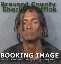 Mugshot of Scott Lamar Collins booked in Brevard County, Florida on August 7, 2026