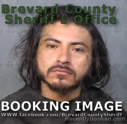 Mugshot of Hector Derrick Cedillo booked in Brevard County, Florida on August 8, 2026