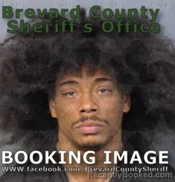 Mugshot of Steven Lee Miller booked in Brevard County, Florida on August 8, 2026