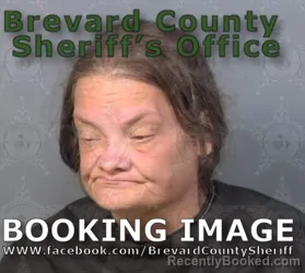 Mugshot of Tracey Eileen Kimble booked in Brevard County, Florida on August 8, 2026