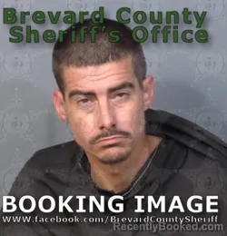 Mugshot of Gregory Allen Serafini booked in Brevard County, Florida on August 9, 2026