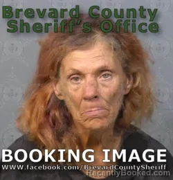 Mugshot of Tracie Farmer Summit booked in Brevard County, Florida on August 9, 2026