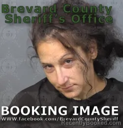 Mugshot of Kelly Ann Turlo booked in Brevard County, Florida on August 9, 2026
