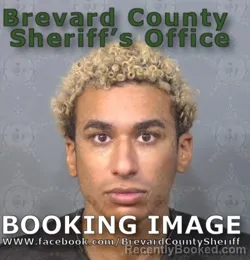 Mugshot of Benjamin Jacob Najman booked in Brevard County, Florida on August 11, 2026
