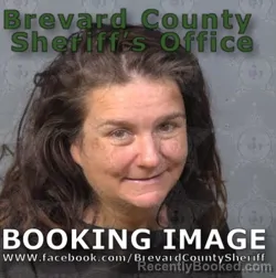 Mugshot of Dawn E Mcnally booked in Brevard County, Florida on August 11, 2026