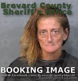 Mugshot of Cassandra Alyssa Brennan booked in Brevard County, Florida on August 12, 2026