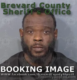 Mugshot of Marcus Wendell Adams booked in Brevard County, Florida on August 12, 2026