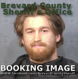 Mugshot of Avery Osman booked in Brevard County, Florida on August 12, 2026