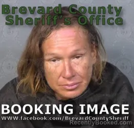 Mugshot of Michelle L Williams booked in Brevard County, Florida on August 12, 2026