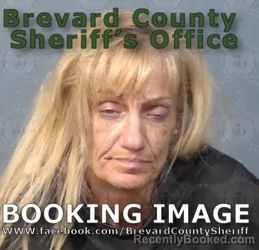 Mugshot of Tamara Lynn Shuck booked in Brevard County, Florida on August 13, 2026