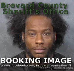 Mugshot of Dangelo T Johnson booked in Brevard County, Florida on August 13, 2026