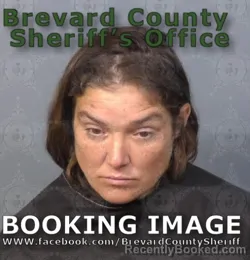 Mugshot of Amy Lee Stagman booked in Brevard County, Florida on August 13, 2026
