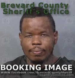 Mugshot of Seth Xavier Stinson booked in Brevard County, Florida on August 14, 2026