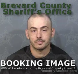 Mugshot of Nikolai Peter Shalala booked in Brevard County, Florida on August 15, 2026
