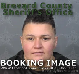 Mugshot of Paola Amaya booked in Brevard County, Florida on August 15, 2026