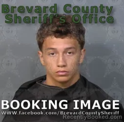 Mugshot of Sergio Carbajal Rico booked in Brevard County, Florida on August 15, 2026